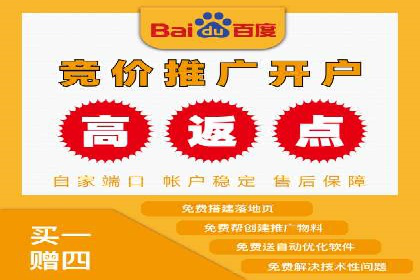 百度推广代运营案例：案例解析：精准定位用户需求